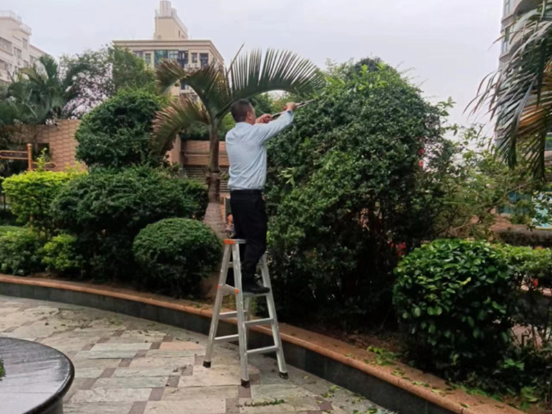 金海华府 园林绿化