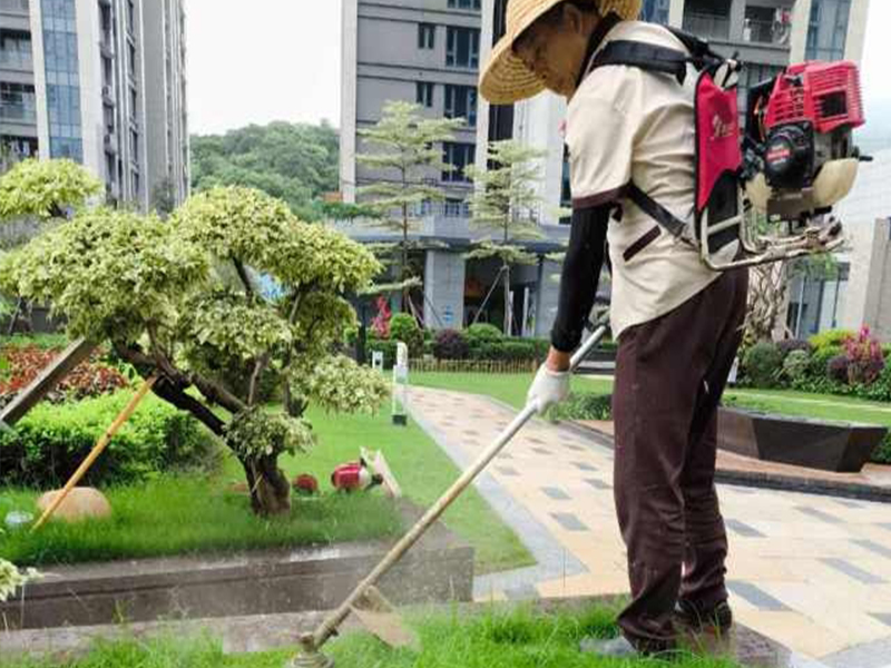 蓝郡公馆 园林绿化