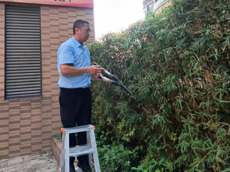 金海华府 园林绿化