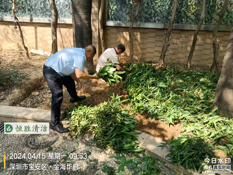 金海华府 园林绿化