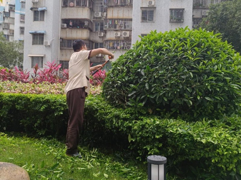 蓝郡左岸 园林绿化