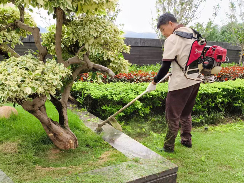 蓝郡公馆 园林绿化