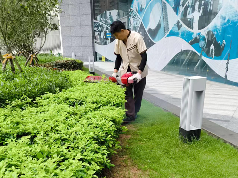 蓝郡公馆 园林绿化