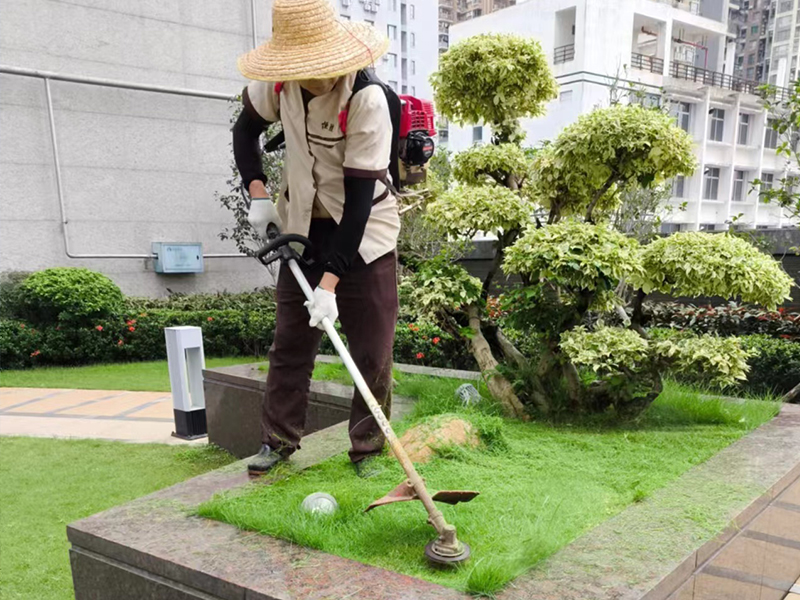 蓝郡公馆 园林绿化