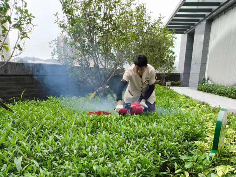 蓝郡公馆 园林绿化