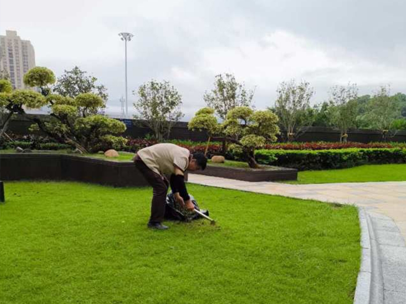 蓝郡公馆 园林绿化