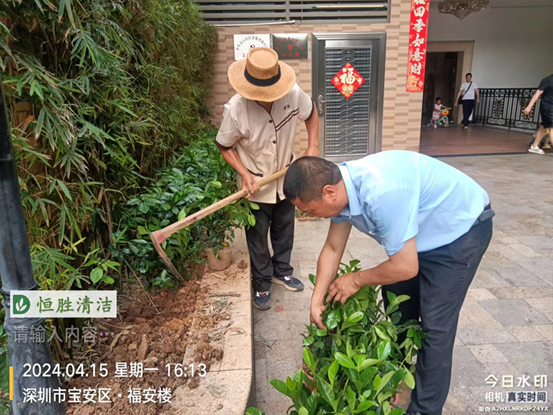 金海华府 园林绿化