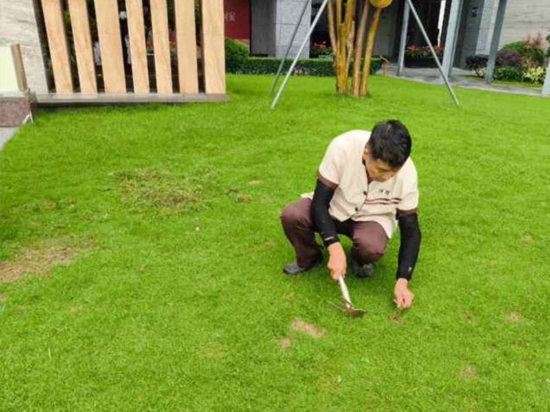 蓝郡公馆 园林绿化