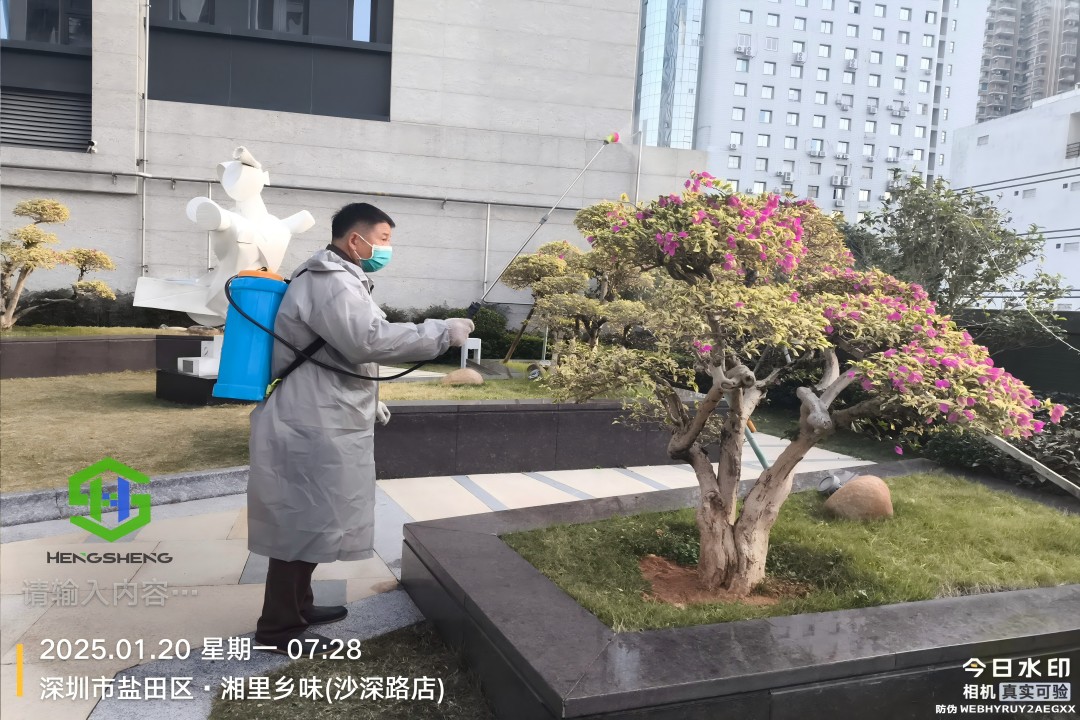 除四害的具体措施及注意事项